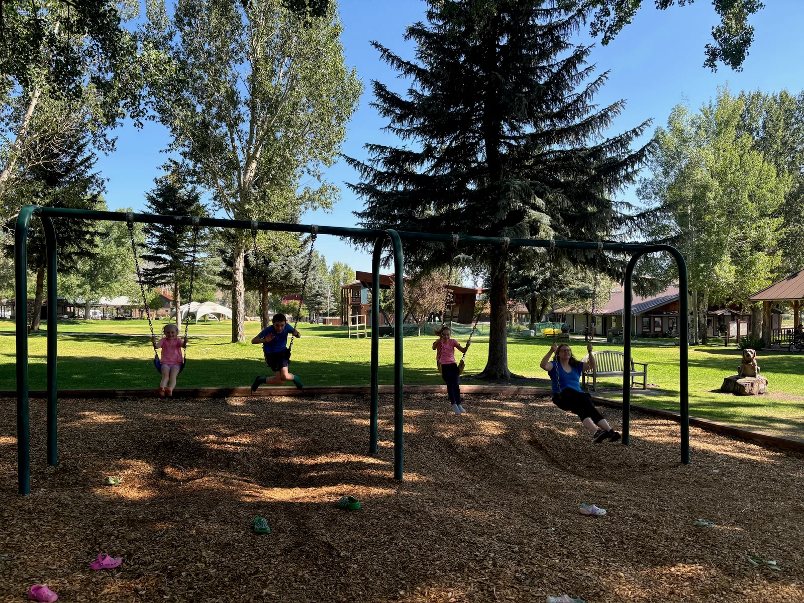 Hogging the swings