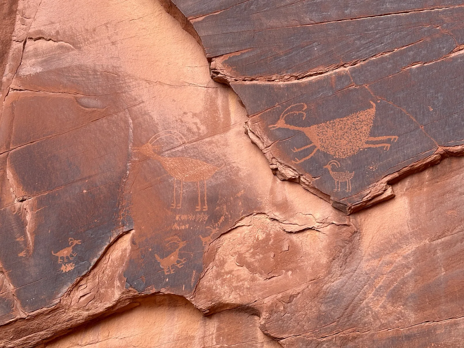 Petroglyphs in Monument Valley