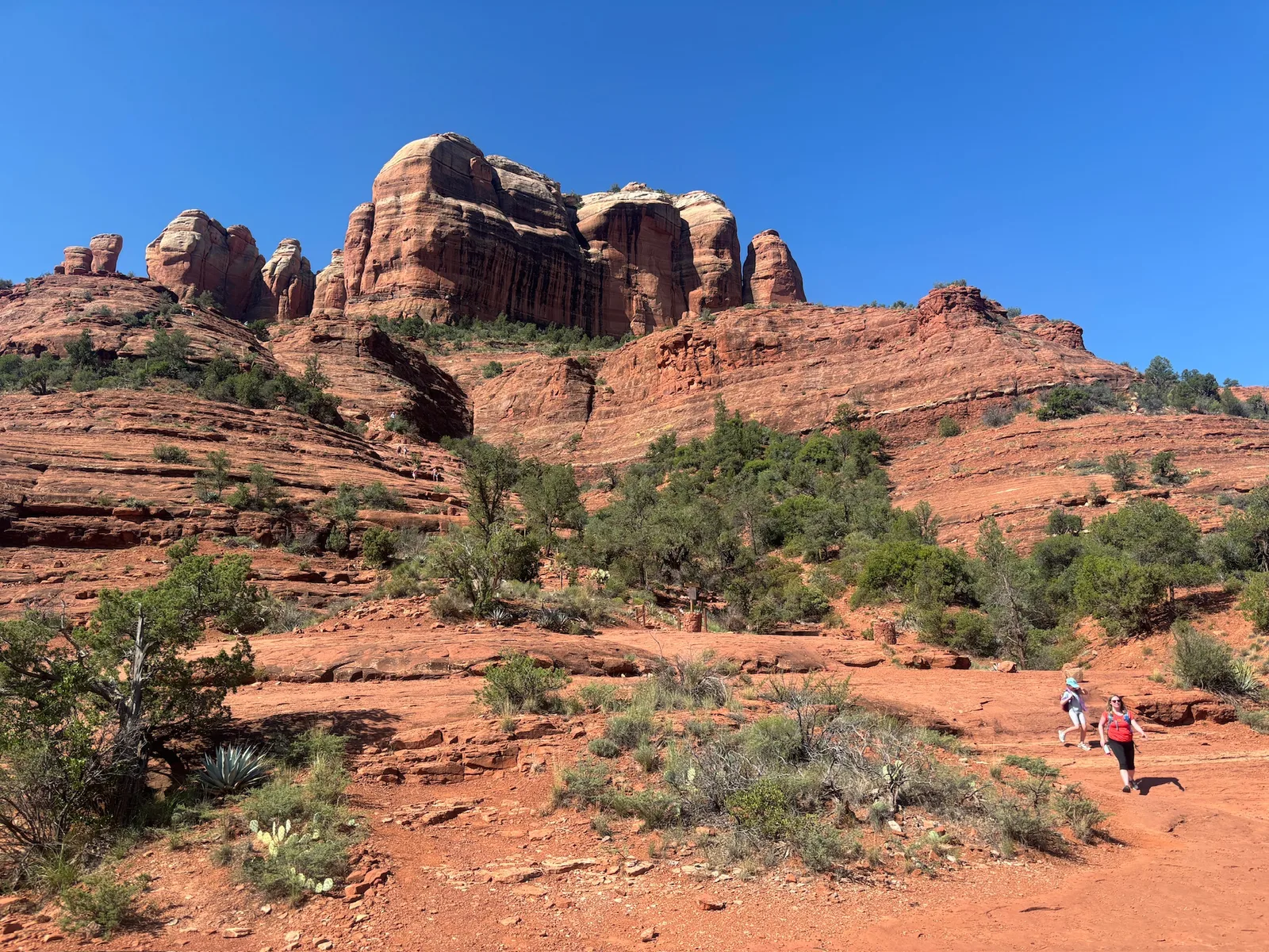 Cathedral Rock. Apparently a “vortex” of energy according to Sedona experts