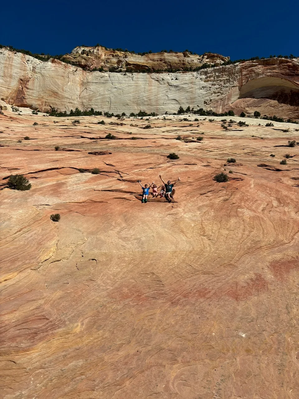 In Zion National Park