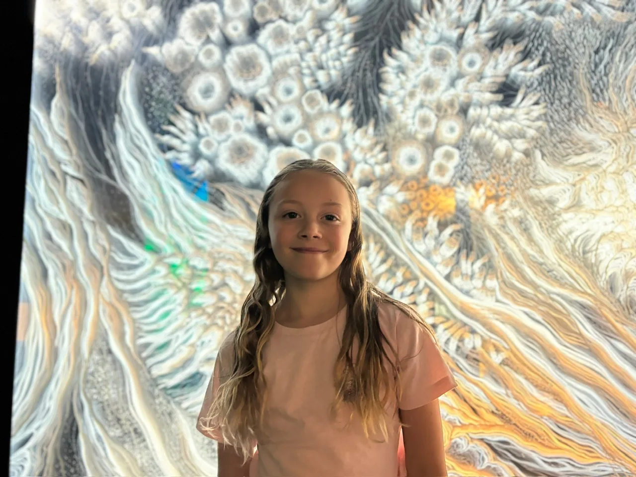 The Meow Wolf had some great visual areas, but wasn’t very good for kids really