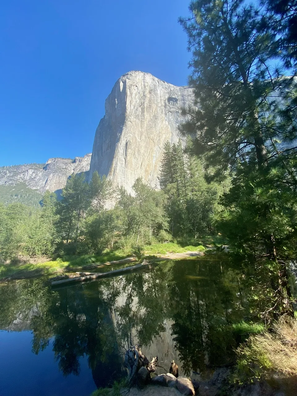 Morning reflections as we leave Yosemite