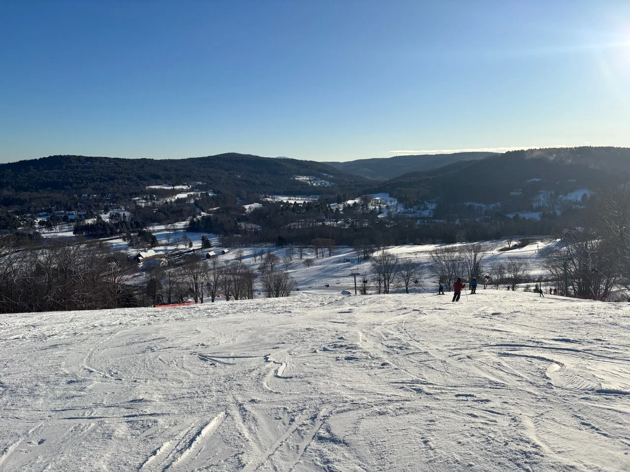 IMG_3450.jpeg